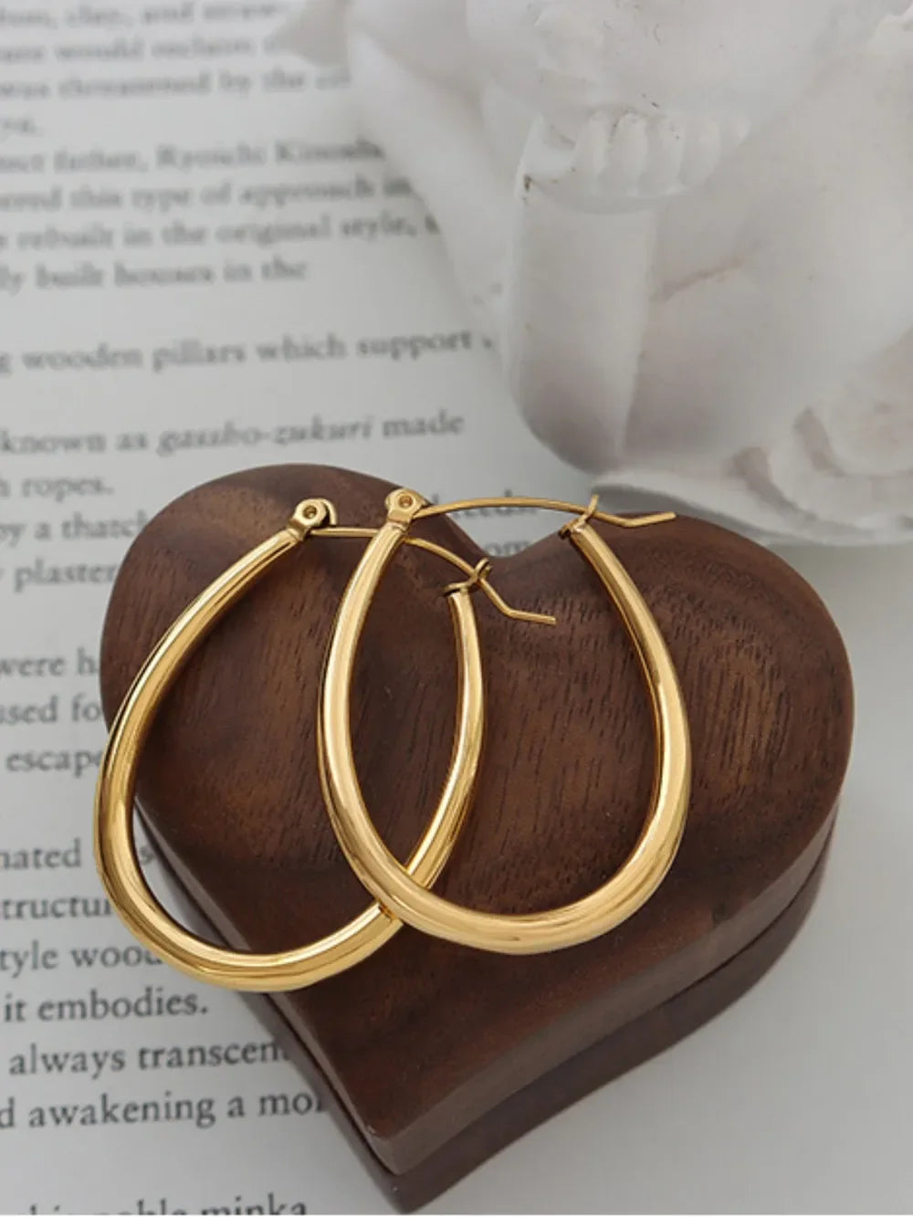 18K Gold-Plated Titanium Steel Earrings - VAleG