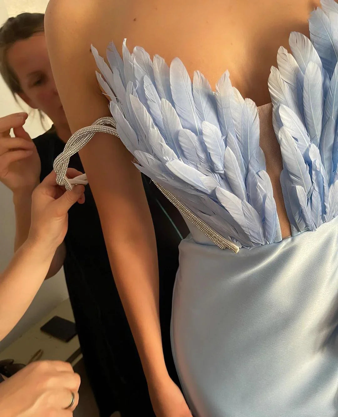 A Dress With Feathers Sweeping The Floor - VAleG