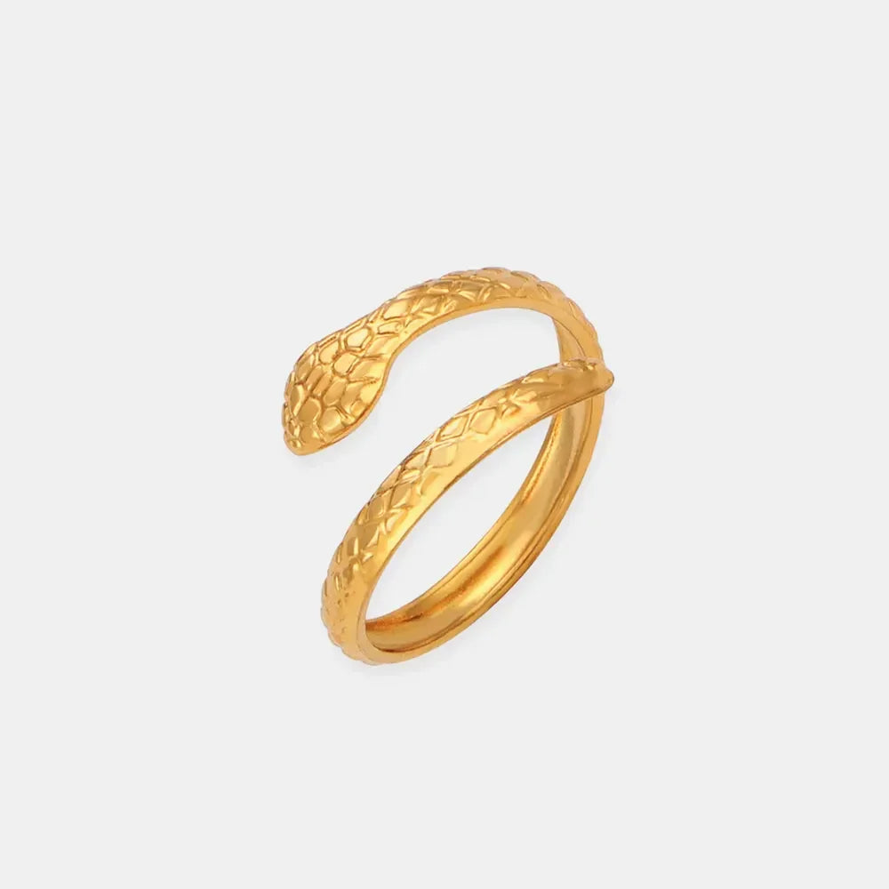 Titanium Steel Snake Shape Bypass Ring - VAleG