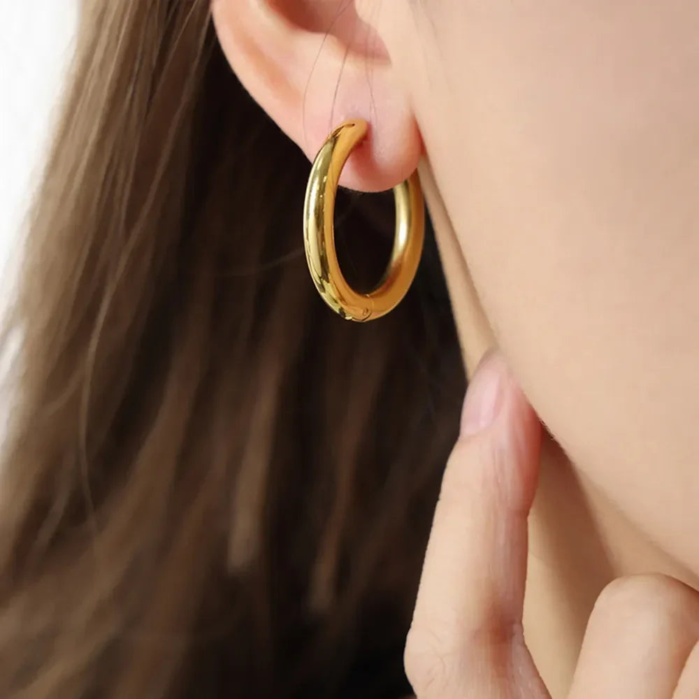18K Gold-Plated Huggie Earrings - VAleG