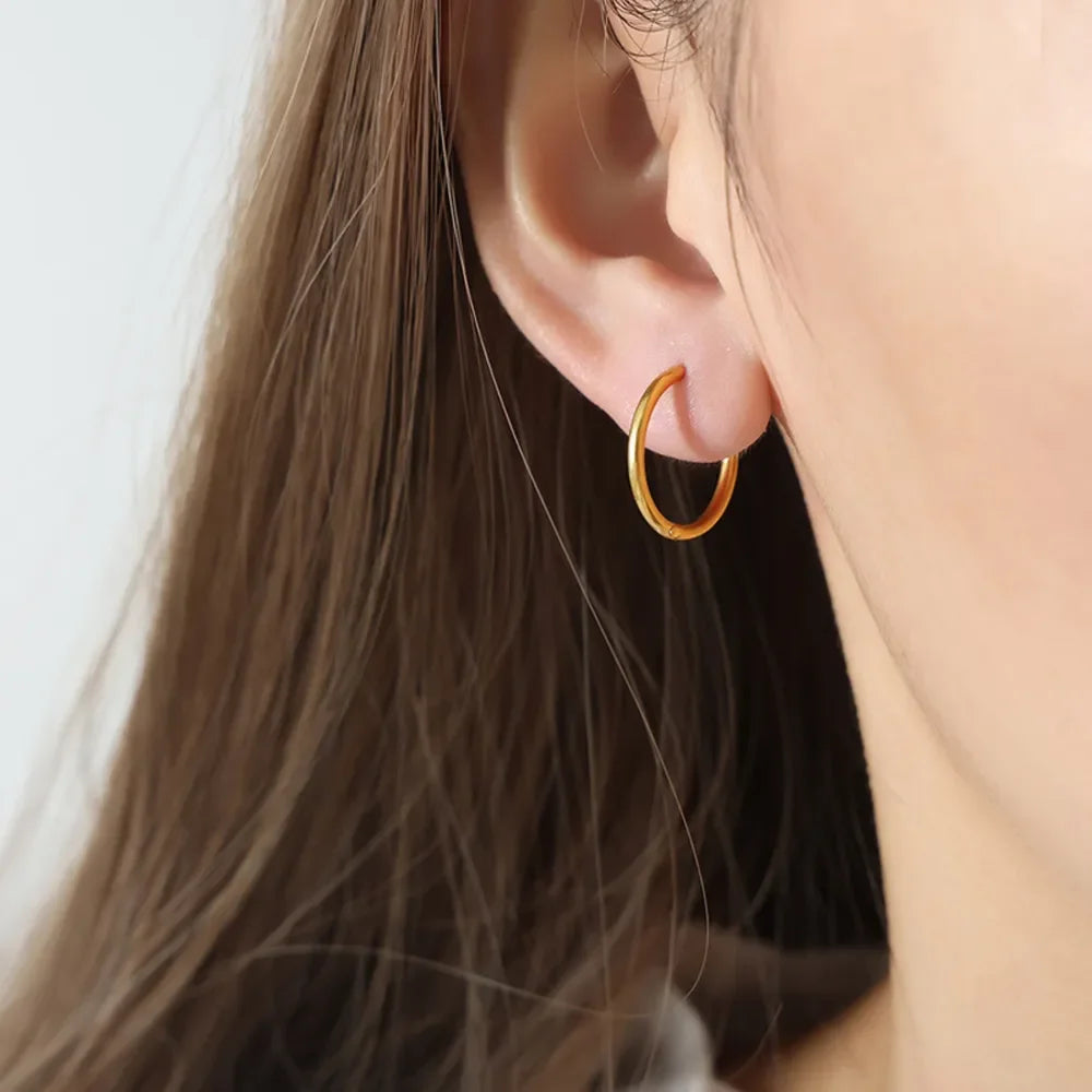 18K Gold-Plated Huggie Earrings - VAleG