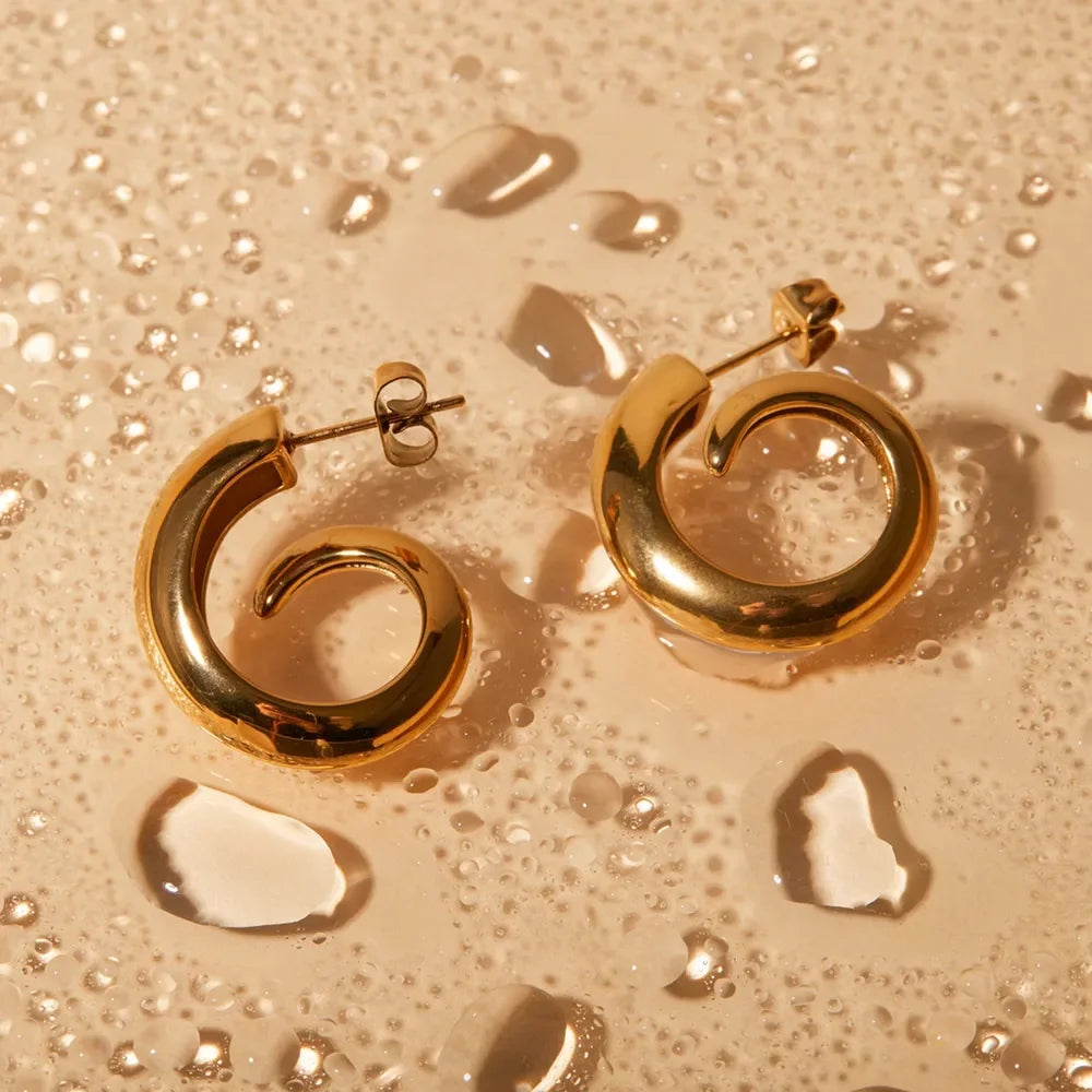 18K Gold-Plated Stainless Steel Earrings - VAleG