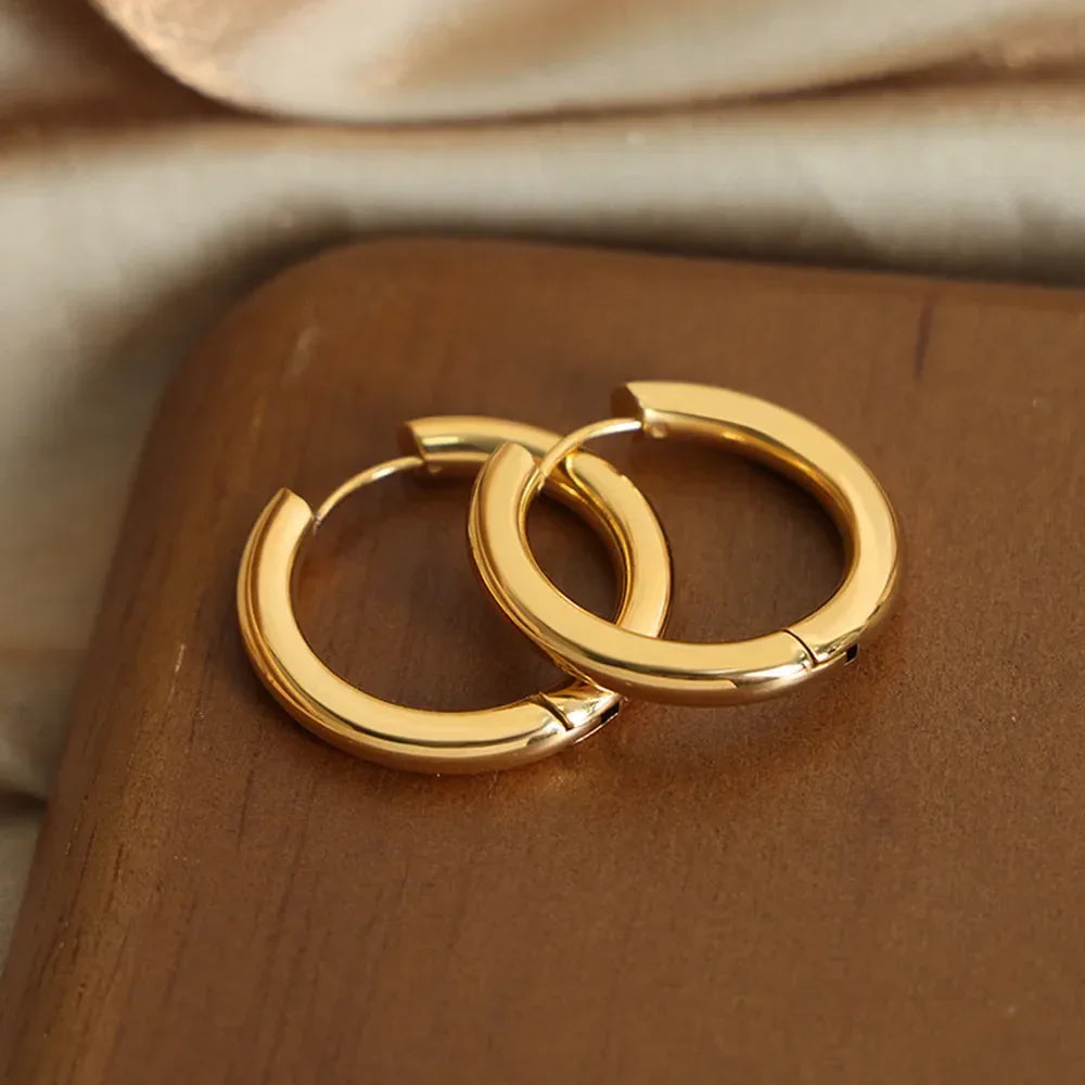 18K Gold-Plated Huggie Earrings - VAleG