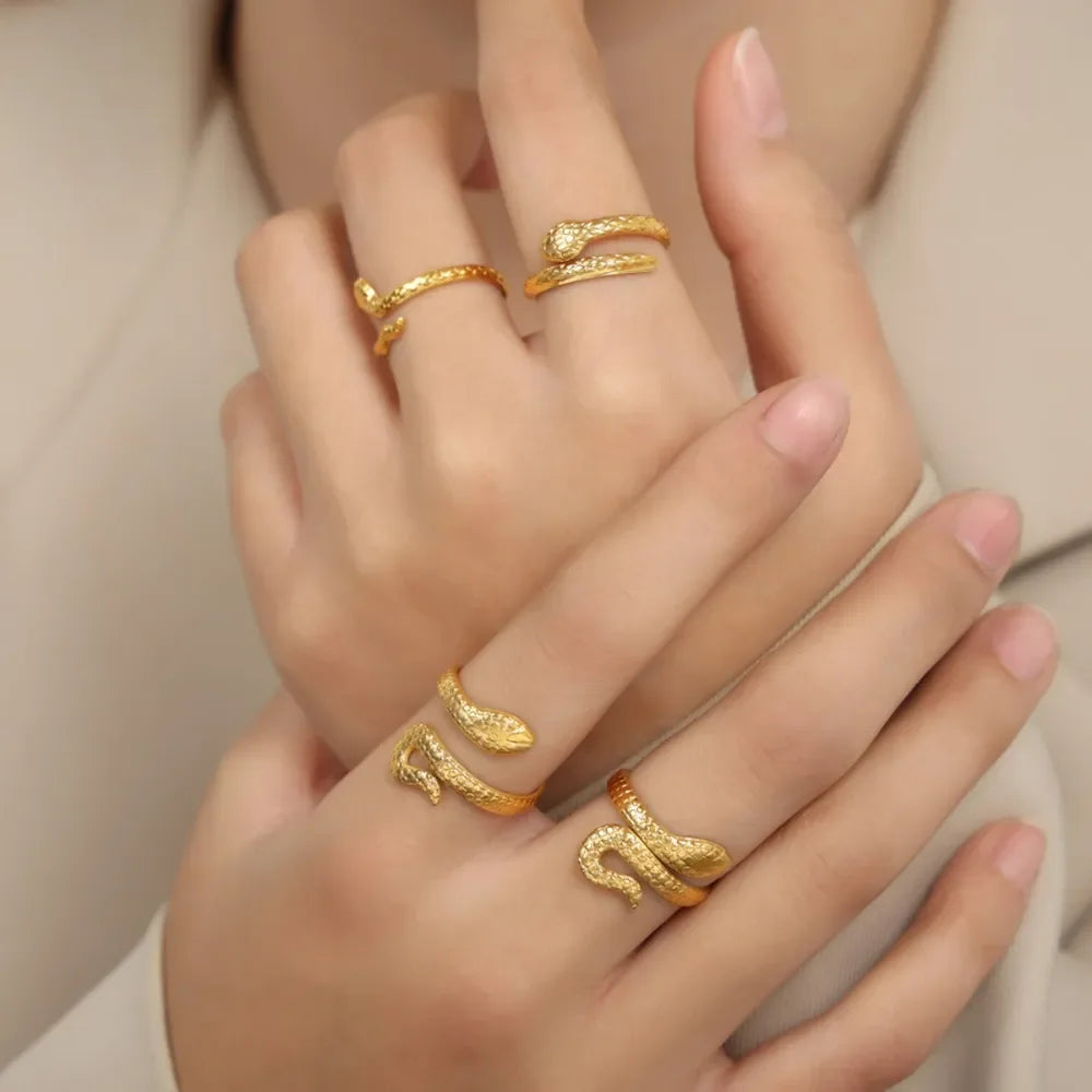 Titanium Steel Snake Shape Bypass Ring - VAleG
