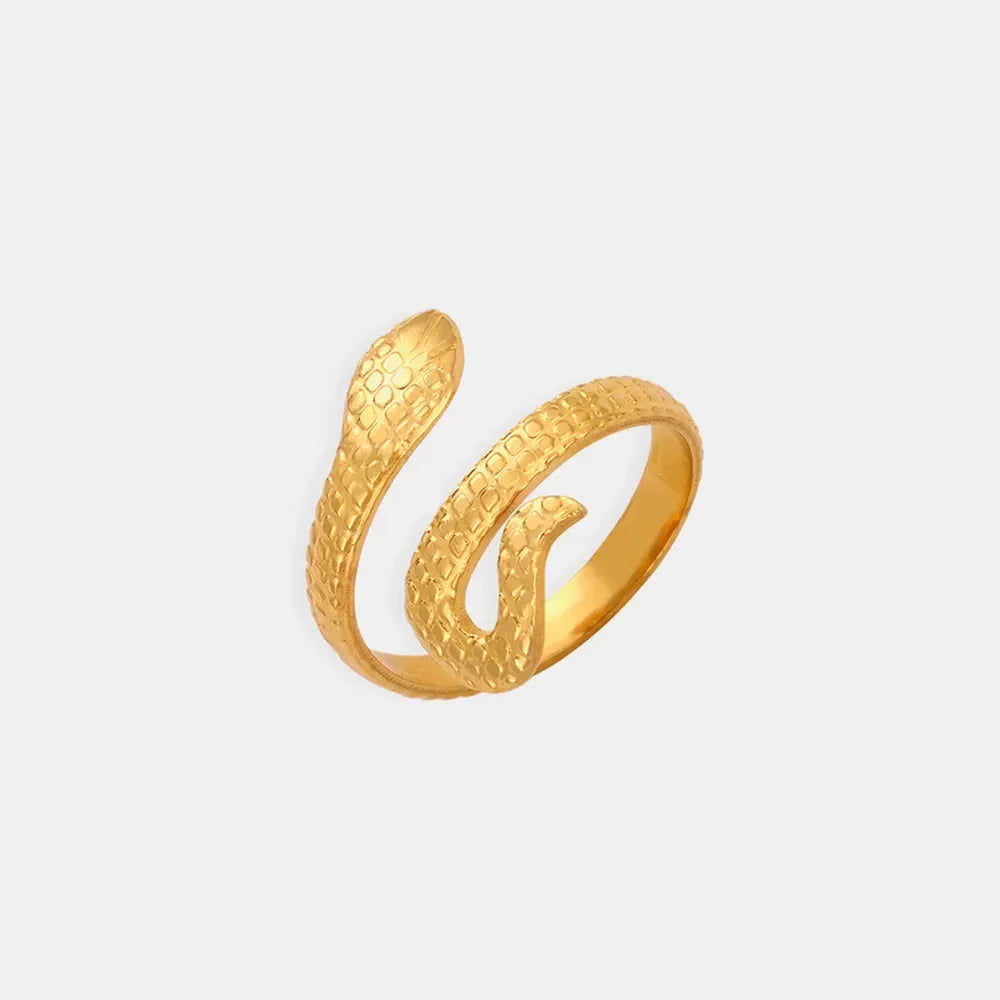 Titanium Steel Snake Shape Bypass Ring - VAleG