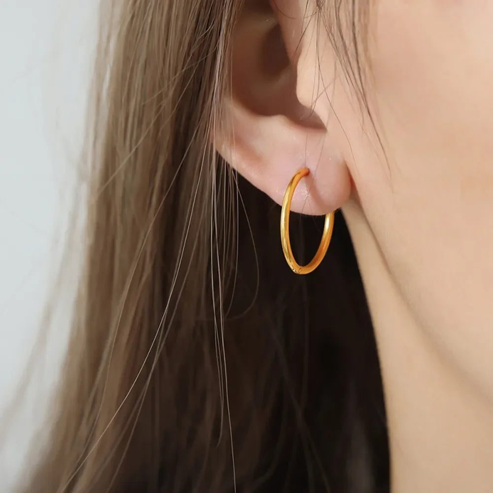 18K Gold-Plated Huggie Earrings - VAleG