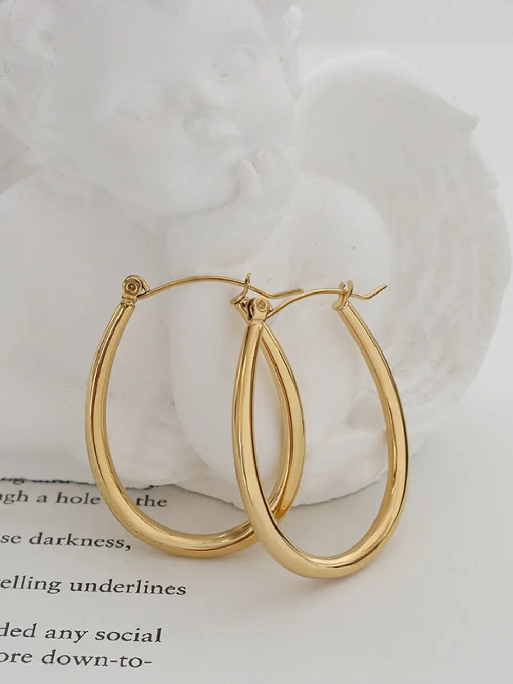 18K Gold-Plated Titanium Steel Earrings - VAleG