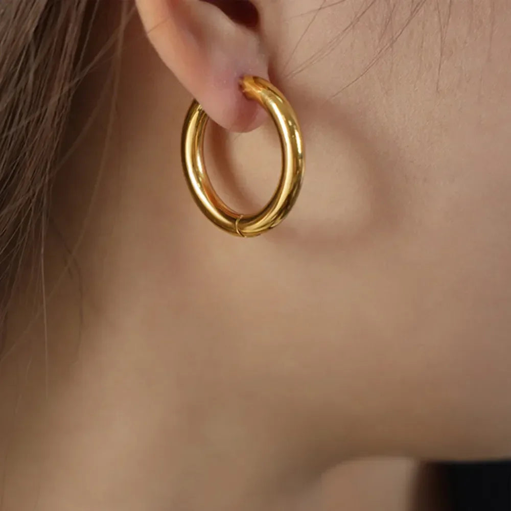 18K Gold-Plated Huggie Earrings - VAleG