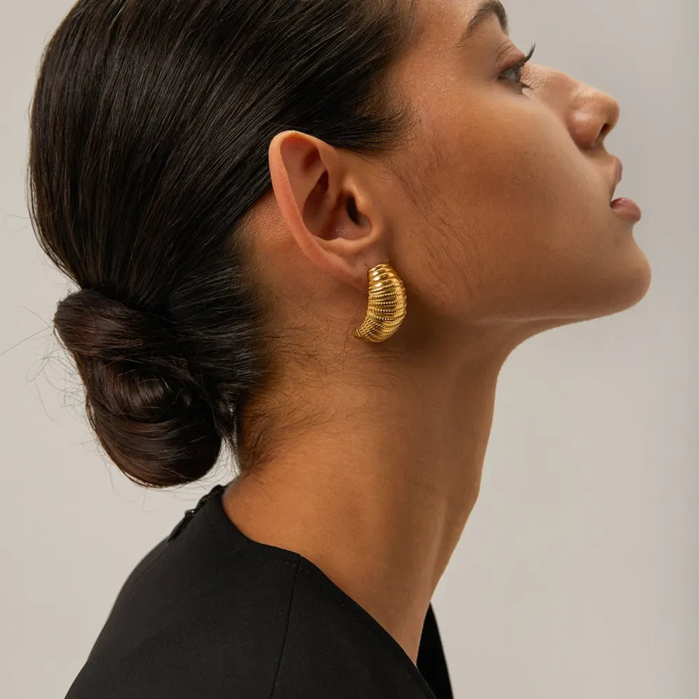18K Gold-Plated Stainless Steel Earrings - VAleG